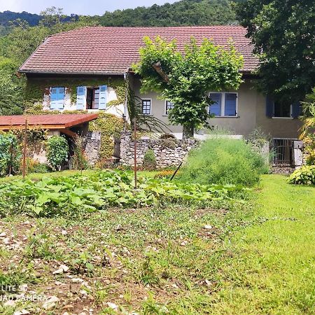 Du Vent Dans Les Arbres -120M2 Belle Vue Sur Le Lac Chindrieux Екстериор снимка
