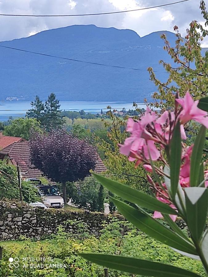 Du Vent Dans Les Arbres -120M2 Belle Vue Sur Le Lac Chindrieux Екстериор снимка