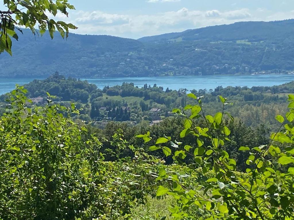 Du Vent Dans Les Arbres -120M2 Belle Vue Sur Le Lac Chindrieux Екстериор снимка